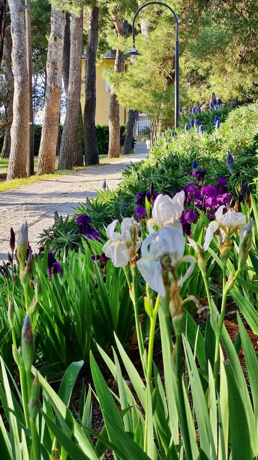 锡罗洛Tra Gli Alberi E Il Mare住宿加早餐旅馆 外观 照片