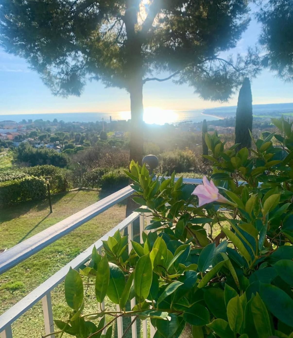 锡罗洛Tra Gli Alberi E Il Mare住宿加早餐旅馆 外观 照片